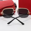 Oversized Carti Glasses Sunglasses for Women Mens Fashion Buffalo Horn Eyewear Double Bridge Polit Anti-Ultraviolet Oval Rimless