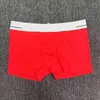 Boxer large élastique pour hommes, sous-vêtements avec impression de lettres, pochette 3D, short en coton de couleur unie