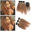 Wefts Kinky Curly Light Brown Ombre 4x4 Lace Closure With 3 Bundles Two Tone 1B/27 Honey Blonde Peruvian Human Hair Weaves With Closure