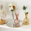 Ev Dekoru Cam Vazo Modern Çiçek Vazo Odası Dekorasyon Sanatı Renkli Küçük Vazo Düğün Dekoru Hidroponik Bitkiler Japon Tarzı 240103