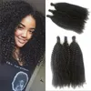 Bulklar Afro Kinky Kıvırcık Dökme Saç Brezilya İnsan Saç Toplu Örgüsü 3 PC/Lot Afro -Amerikan Fdshine