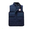 Heren Gilet Designer Puffer Vest Men Down Parkas Classic Mouwess Badge Top Jacket Four Seasons Unisex Casual Button Appliques Sweatshirt