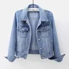 Veste en jean à manches longues pour femme, pardessus ample à boutons, vêtements d'extérieur, 5XL, printemps-automne 2023, 240102