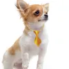 Hurtownia mieszanka kolorowy kot pies pies ku krawat Puppy pielęgnacja produkty Regulowane akcesoria dla psa łuki dla małych psów koty dla zwierząt domowych 240103