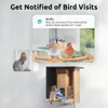 その他の鳥の供給netvue birdfy ai-カメラソーラーパワー付きのアップグレードされたスマートフィーダーは6000種のモーション検出を識別します