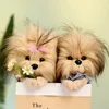 Realistico Yorkshire Terrier bambola di peluche simulazione peluche giocattoli per cani modello ufficio ornamenti decorazioni per la casa bambini amanti regalo 240103