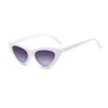 Sonnenbrille Kleine Cat Eye Frauen Cateye Sonnenbrille Vintage Brillen Sexy Damen Brillen Shades UV400