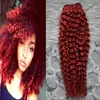 Inslagen ROOD Peruaans haar Kinky Curl Weeft Bundels 100g 1pcs Peruaans maagdelijk haar Afro Kinky Krullend Menselijk haar dubbele inslag kwaliteit, geen schuur