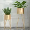 Vasos Varanda Ouro Canto Interior Vaso Jardim Aço Atacado para Design de Rack Forjado Display Metal Planta Pot Flower Stand