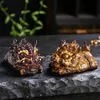 Harts Chameleon Te Pet Decoration Accessories Chinese Tea Set Tea Ceremony Pet Decoration Toys Home and Office Supplies 240103