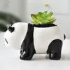 Vazolar Sevimli Panda Vazo Çiçek Düzenlemesi Seramik Etli Pot Dekorasyon Yaratıcı El Sanatları Evde Oturma Odası Sanat