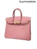 デザイナーオストリッチレザーBKNSハンドスウェンサウススキンバッグから輸入された高品質の手作りの女性バッグ