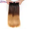 Wefts Blonde Ombre Malaysian Virgin Hair Straight Bundles Three Tone 1B 4 27 Ambre Extension