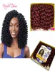 Jamaïcain rebond baguette curl Extensions de cheveux 8 pouces Crochet bouclés Bouncy Curl Preloop Crochet tresses cheveux tresses synthétique brai5035645