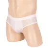 Onderbroek Backless Slips Mannen Jockstrap Ondergoed Visnet Mesh Slipje Shorts U Bolle Zakje Mannen Intieme Lingerie Knickers