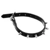 Hundkrage Pet Collar Dålig nit Walking Rope Supplies Spike Spiked Cat Neck Decor för stora hundar Dekorativa besatta