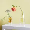 Vaso moderno decoração para casa sala de estar decoração terrário planta vaso de flores decoração cor transparente arte vasos de vidro duplo 240103