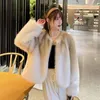 Women's Fur Chic Street Fashion Girls 2024 Winter Trendy Faux Raccoon Coat Jacket Women Thick Warm Korean Cropped Fluffy Overcoats