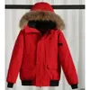 Doudoune doudoune pour homme manteaux de créateur coupe-vent doudoune d'hiver élégante veste bomber courte pour femme avec un manteau à capuche haut de gamme avec de grandes poches z6