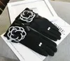 Kaszmirowe gęste miękkie rękawiczki dotykowe kobiety ciepłe zimowe rękawiczki damskie dystansowe biuro Eldiven Invierno Guantes Muyer Whole6646226
