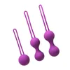 Vibradores Kegel Ball para mujer, mancuerna vaginal, dispositivo médico de ejercicio de ajuste privado, productos posparto