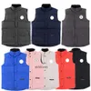 8 colori Designer Abbigliamento Top Quality Canada Gilet da uomo Piumino d'anatra bianco Warmer Gilet da donna Gilet invernali Ladys Body Warmers Highend