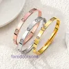 Car tiress New Brand Classic Designer Bracelet Fashion Ten Diamond Titanium Steel Clasp for Women All Sky Star Love Same 18K Rose Gold Have Original Box