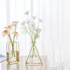 Vazen Creatieve Gouden Vaas Metalen Bloemen Pot Hydrocultuur Plantenbak Container Glas Desktop Lamp Modern Home Decor