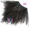 Extensies 100% onbewerkt 10A 100g 120g 140g 160g Afro Kinky Krullend Recht 4A 4B 4C Clip In ins Virgin Remy Human Hair Extensions