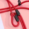 Colliers pour chiens 06 140 cm | Nylon pour animaux de compagnie, boucle réglable, collier de plomb, laisse, corde de Traction (rouge)