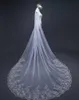 4m Onelayer Women Trailing Cathedral Long Wedding Veil Embroidered Floral Lace Aptlique Scalloped Trim Bridal Veil with Comb X0729005090