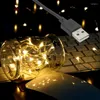 Dizeler USB LED String Lights 5m 10m Cooper Silver Wire Peri Garland Düğün Yılında Noel Ağacı Tatil Dekorasyonu