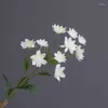 Decorative Flowers 62CM Artificial Dandelion Home Decoration Snow Lotus 3D Printing Silk Flower Wedding Scene Accessories