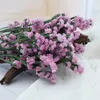 Flores decorativas Arreglo de boda Regalo de niña de San Valentín Ramo de flores secas naturales Nomeolvides DIY Sala de estar Hogar Navidad