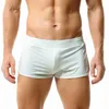 Men's Shorts Casual Silky Mesh Sports Boxer Breathable Side Split Gym Fitness Bottom Underwear Sleepwear