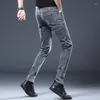 Jeans pour hommes Denim coréen tendance arrivée décontracté polyvalent élastique haut de gamme pantalon droit gris coupe slim