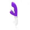 vibrateur Vibromasseur double tête à batterie passionnant pour femmes avec brosse stimulation clitoridienne du point G masseur à vibrations fortes 231129