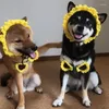 Dog Apparel MPK Series Headwear Cute Sunflower Collar Two-Piece Pet Dress Up