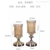 Vases Hydroponic Gold Glass Vase Aesthetic Decoration Modern Tall Large Design Transparent Floreros Luxury Home Decor WK50VA