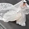 Brautschleier Langer Hochzeitsschleier Spitzenapplikationen Kathedrale einlagig mit Kamm