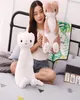 Милые сидячие ласки peluche, плюшевые игрушки pluszaki, кукла-хорек, милые детские утешительные куклы, мягкая игрушка для детской комнаты, украшение дома 50 см 2428998073