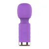 Mini bâton électrique Portable en Silicone souple pour femmes, Massage émotionnel à fort choc, bâton divin, produits pour adultes 231129