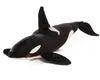 75 cm 130 cm Simulazione Squalo marino animale Gigante Killer Whale Peluche Realistico mare Mondo animale Pesce farcito Cuscino Po strumento Y22780082