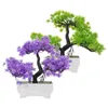 Fiori decorativi Piante in vaso finte Simulazione Benvenuto Libreria in pino Scaffale Albero bonsai artificiale Realistico