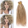 Extensions Piano 27 613 Human Hair Weaves Kinky Curly Wave Hair Extension Afro Kinky Curly Hair Extension Blond Virgin Brazilian Bundles Fas