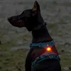 Truelove Su Geçirmez Köpek Led Işıkları USB Şarj Pet Etiketi Güvenli Gece Yürüyüşü Yüksek Görünürlük Karşılaştırma Tastı Tasma Tasma 240103