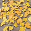 Dekorative Blumen, künstliches Herbstblatt, Ginkgo-Biloba-Kranz, Zubehör, Hochzeit, Bühnendekoration, grafische Requisiten, Heim-Schlafzimmer-Dekorationen