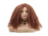 Synthetic Wigs Long Afro Kinky Curly Hair Wig Dark Brown for Black Women African Hairstyle High Temperature Fiber2607590