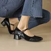 Robe chaussures printemps / automne femmes pompes bout carré talon épais mouton daim cuir pour élégant talons hauts boucle Mary Janes