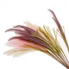 Decorative Flowers Wholesale Decoration Of Artificial Flower Handicrafts Reed Grass Green Plants Wedding Simulation Apricot MW09916